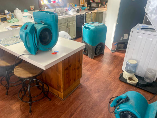 Best 24-hour water damage restoration  in Weatherby Lake, MO