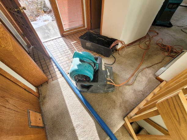 Best Emergency water damage restoration  in Weatherby Lake, MO