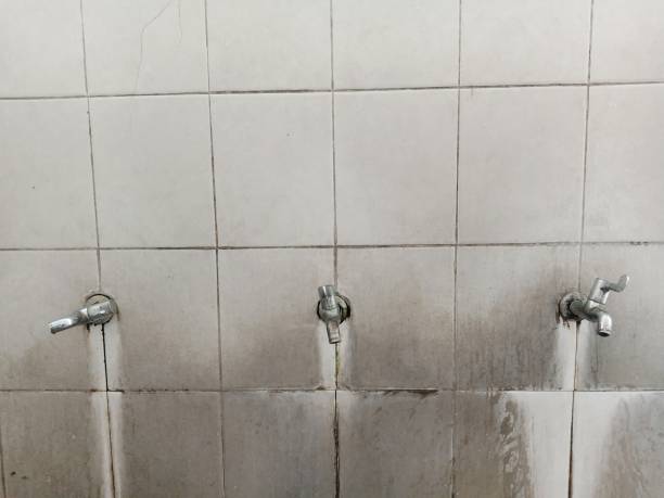  Weatherby Lake, MO Water damage restoration Pros