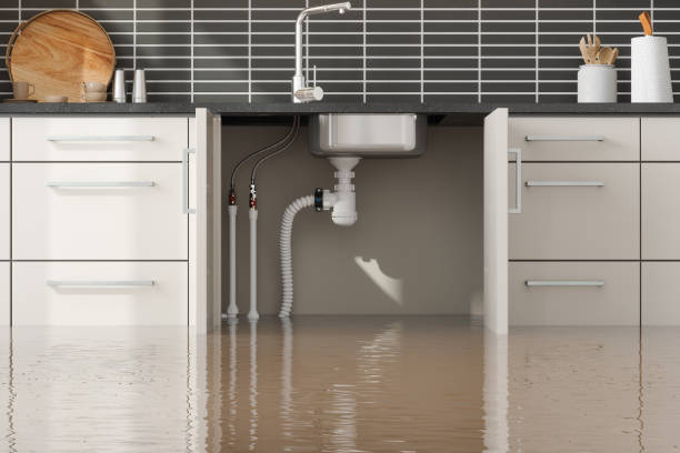 Best Flood restoration services  in Weatherby Lake, MO